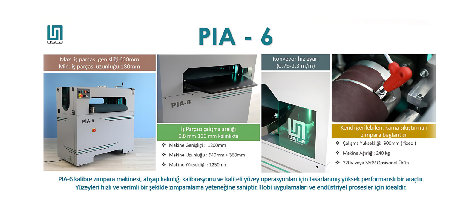 PIA 6